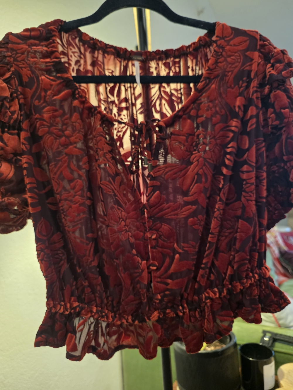 Free People Red Floral Burnout Velvet Peasant Top
